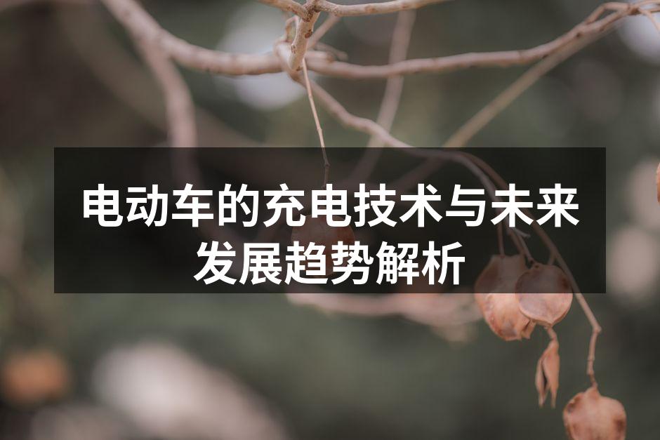 电动车充电桩实景
