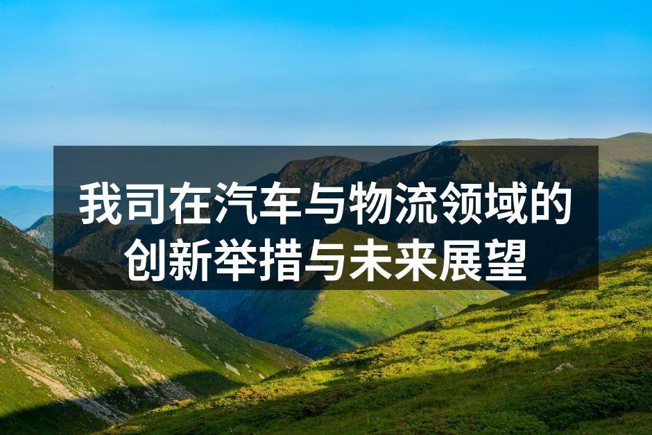 公司自动化仓储系统的建设